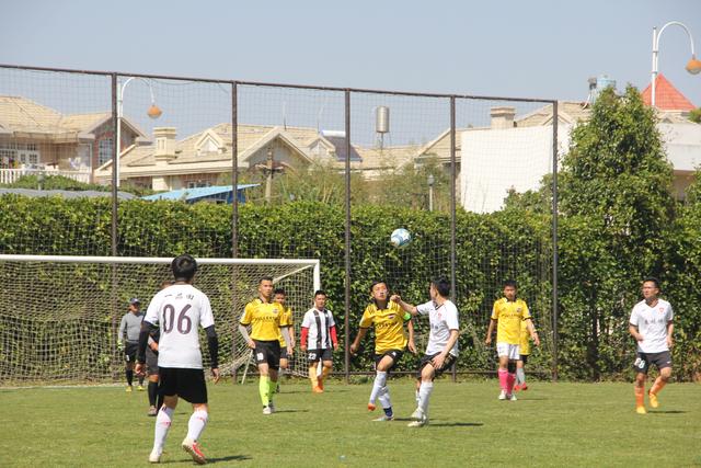 波神复出20分东契奇30+10 绿军大胜独行侠1-0